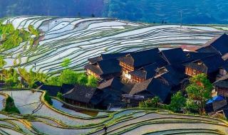 贵州有哪些旅游景点 贵州有哪些旅游景点